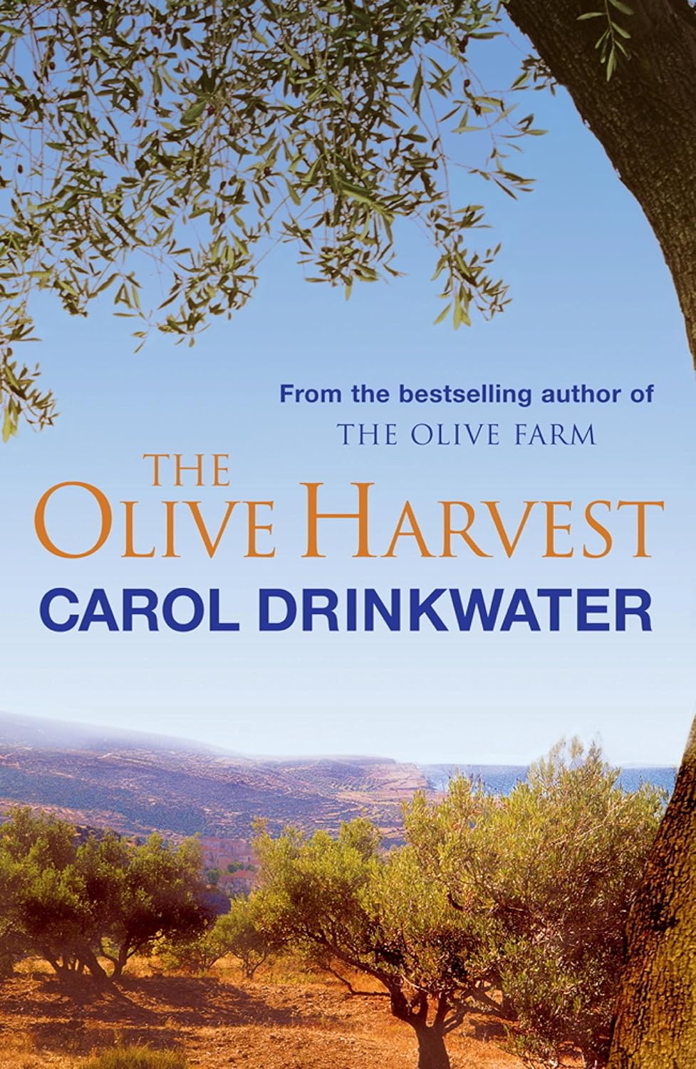 The Olive
