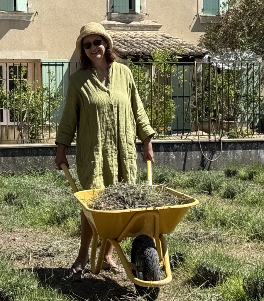 Christine Maack oogst lavendel