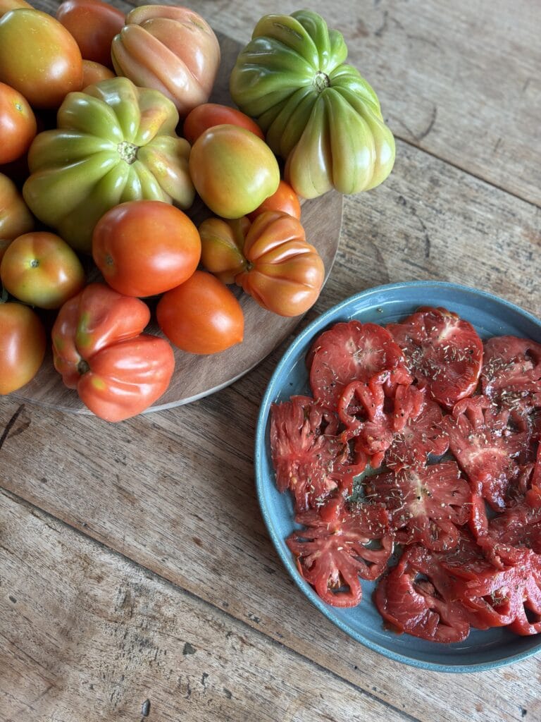 column Tinneke Coeur- de boeuf tomaten