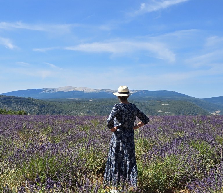 model lavendel st jean de sault